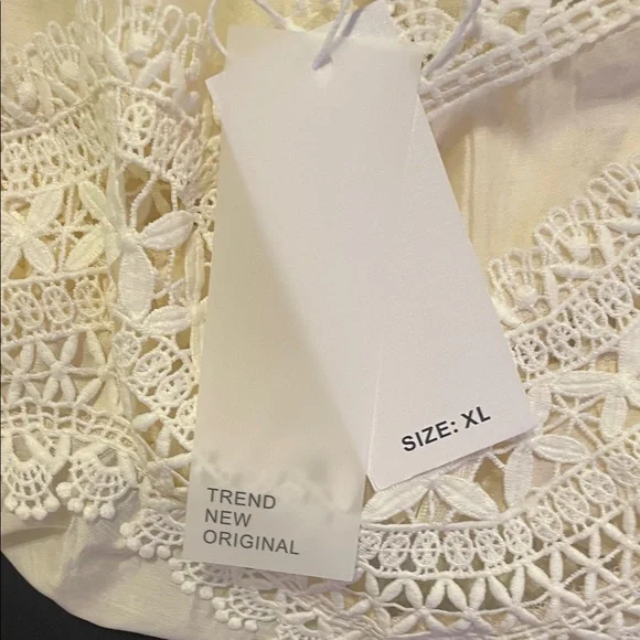 Elegant Lace Trim Cream Blouse - Picture 8 of 9